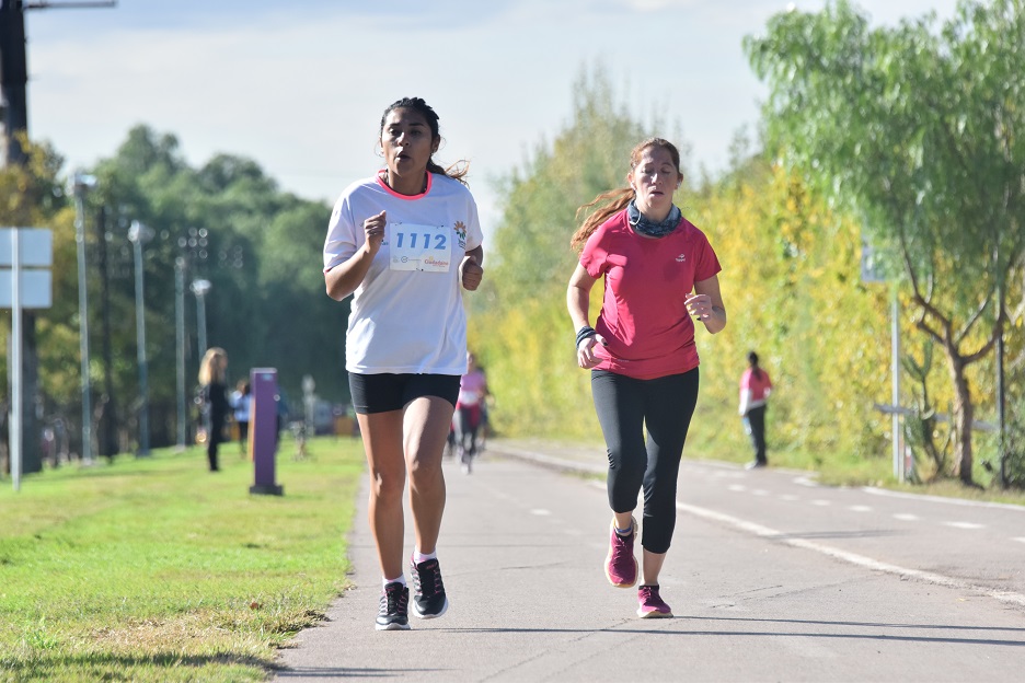 Second marathon “Blood runs through your veins”: it will start in Benegas Park